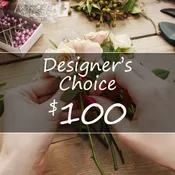 Fresh designer choice Special