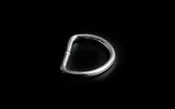 Steel D Rings