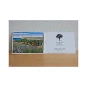 Asters at Port Oneida Note Card — Glen Arbor Artisans