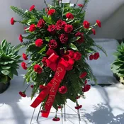 red sympathy