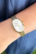 Retro Oval Stainless Steel Watch