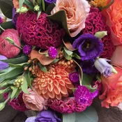 The Vibrant collection: jewel hues