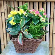 Blooming Basket