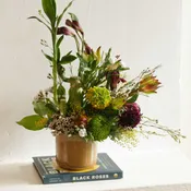 Bamboo & Blooms Collection: The Sutter