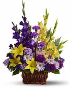 Basket Full of Wonderful
