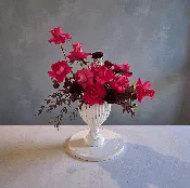 Love in Full Bloom