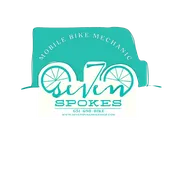 Casual Rider Tune-Up — Seven Spokes Mobile Bike Shop