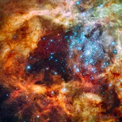 30 Doradus in Ultraviolet, Visible, and Red Light