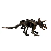 28 Inch Triceratops Skeleton Model