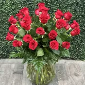 Three Dozen Red Roses