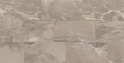 Absolute Absolute Taupe 12 x 24