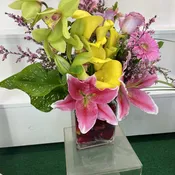 Callalli Collection