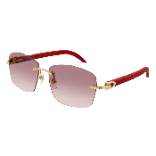 Cartier CT 0039RS - NV