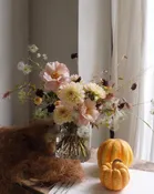 Autumn Love