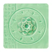 AMACO SUCCULENT C-24
