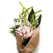 Ballerina Bundle
