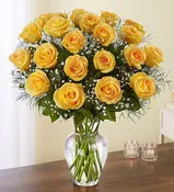 Sunlit Roses