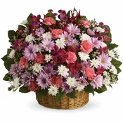 Rainbow Reflections Basket by Teleflora