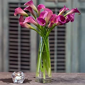 Calla lilies