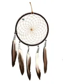 6" Turquoise Stone Dreamcatcher