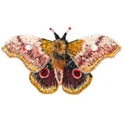 Embroidered Brooch India - Emperor Moth