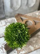 7.5" Seed Half Sphere