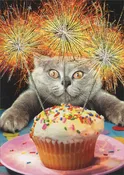 Birthday Card