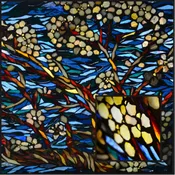 Blossoms and Branches Kit