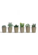 Faux Succulent in Paper Pot - 6 Styles