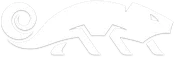 Lone Lizard White Transfer Window Decal