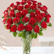ltimate Elegance™ Long Stem Red Roses