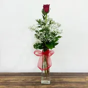 Single Long Stem Rose in Vase