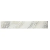 Africa Tempesta Polished Bullnose Marble Wall Trim Tile - 2 x 12 in.