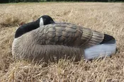 Bigfoot™ Canada Oversize Sleeper Shell Decoys 6 Pk.