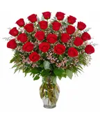 2 DOZEN RED ROSES