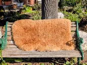 Casari Ranch Organic Sheepskin – Soft & Durable — Casari Ranch