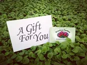 Broadway Gardens Gift Cards