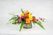 Tropical Arrangements