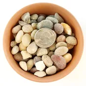1 Lb 3/8 Parchment Pebble Cactus and Succulent Top Soil Dressing