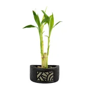 Ceramic Half Circle Mosaic Planter