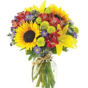 European Flowers of the Field