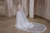 Abu Veil