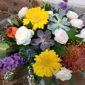 Flowers & Succulents