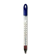 THERMOMETER FLOATING