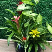 MIX PLANT DESIGN BY VNF