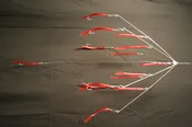 6 Arm Tube & Worm Rigs