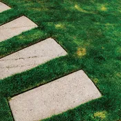 Premium Turf Start™
