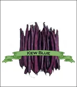 Bean Seed. Organic Kew Blue. Pkt.