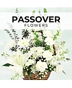 PASSOVER FLORIST’S PICK