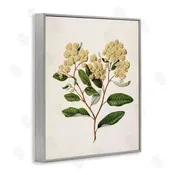 1x | Flowering Cream Blooms Wall Art